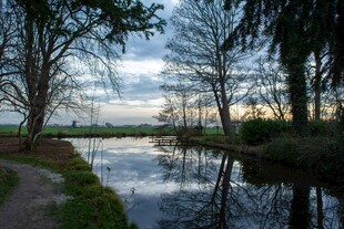 河畔小径 静谧自然之景