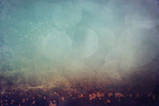 梦幻渐变天空下的模糊景象