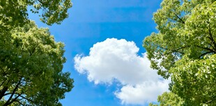 绿树蓝天间的白云美景