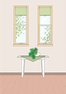 窗边简约小桌绿植景致