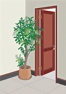 室内角落的绿植与木门