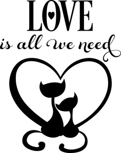 爱猫之心情系于心