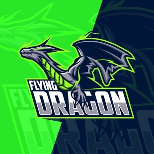 飞天龙队标志设计