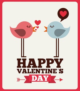 情人节小鸟甜蜜互动