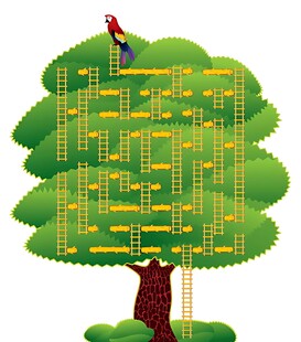 树上探险乐园设施