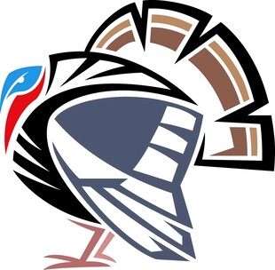 抽象风格火鸡图案设计