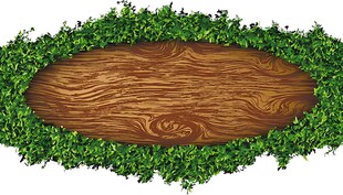 绿叶环绕的木质标牌