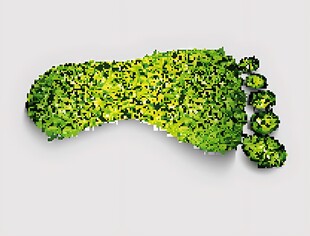 绿色螺旋状植物造型