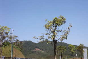 山间绿树蓝天风景图