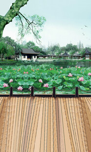 湖畔木栈道旁的荷花美景