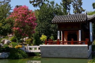 中式园林景观中的雅致小亭