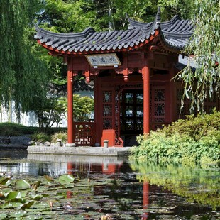 中式亭阁映于荷塘美景