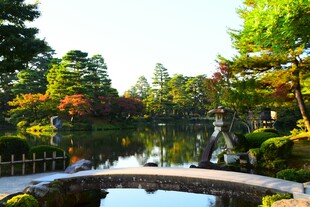 日式园林景观中的静谧池塘