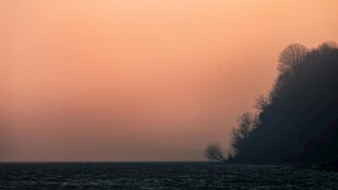 黄昏下的朦胧山林景色