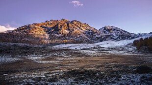 壮丽雪山下的开阔原野