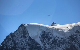 雪山之巅的飞鸟