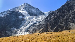 壮丽雪山下的金黄草地