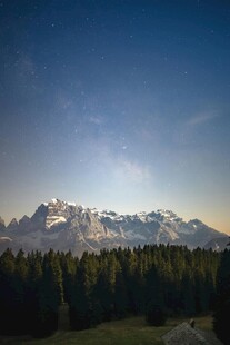 雪山森林间的壮丽景致