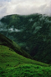 青山云雾间的翠绿景致