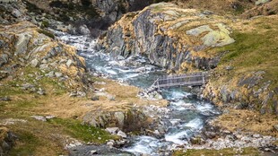 山间溪流潺潺流淌