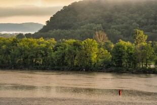 河畔绿树成荫的迷人景致