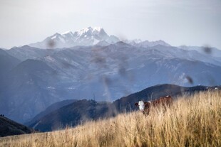 山间漫步赏壮丽雪山景色