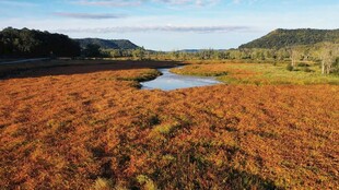 秋日红草地中的静谧小湖