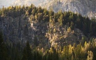 山林美景 阳光洒落绿意浓