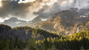 山间晨景 云雾缭绕山林