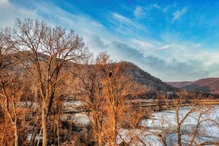 冬日河畔萧瑟风景
