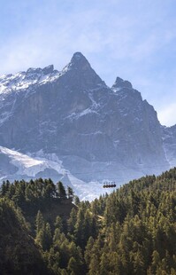 雪山下的茂密森林景观