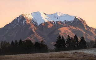 壮丽雪山下的森林景观