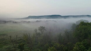 晨雾中的山林美景