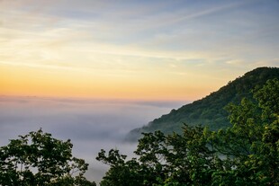 山间晨曦 云海与绿树相映