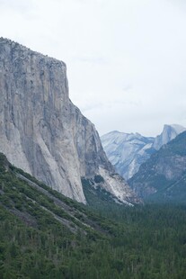 壮丽高山与葱郁森林景观