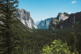 壮丽山谷间的森林与山脉