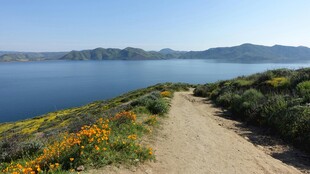 湖畔小径 繁花伴青山碧水