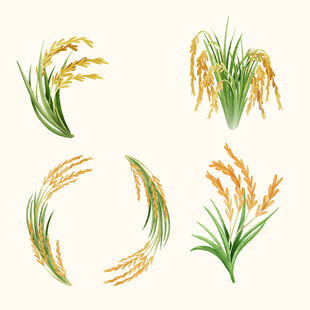 手绘稻穗