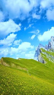 蓝天白云下的翠绿山坡