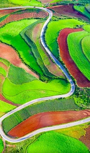 多彩梯田蜿蜒美景