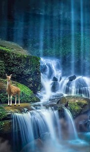 山间瀑布旁的小鹿美景