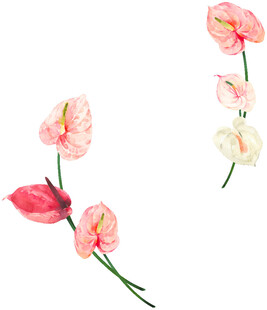 粉色白色仿真红掌花束