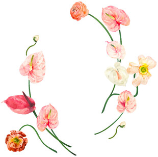 水彩花卉花环图案设计