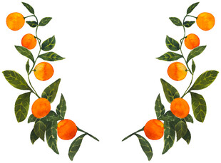 枝头金桔绿叶相伴