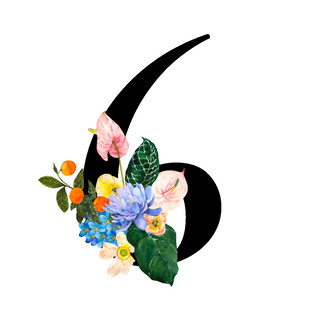 数字6旁的缤纷花卉装饰