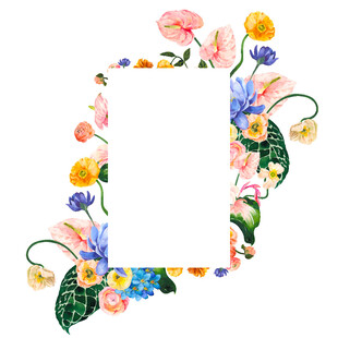 花卉边框装饰空白图片