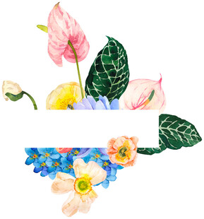 水彩花卉组合插画