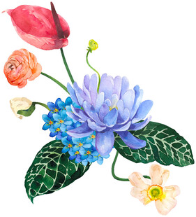 手绘多彩花卉组合