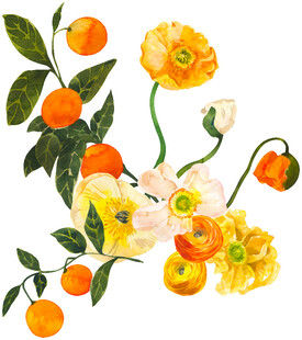 花卉与果实的精美插画