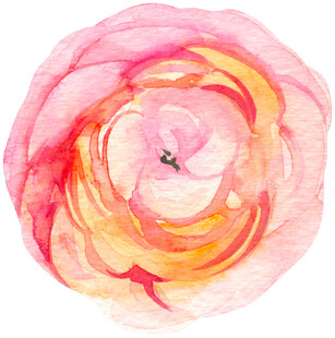 水彩绘粉色柔美花朵